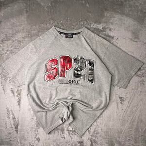 Vintage Y2K Southpole Authentic Collection Grey 3D Print SP21 Graphic T-shirt L